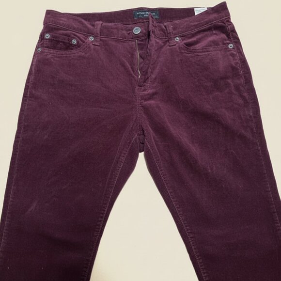 Banana Republic Pants - Women's Purple Pants